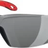 Safety Glasses - Grey 10 Pk -Home-Tools 9528377802782 1