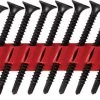 PBH SD M1 Self-drilling Drywall Screws -Home-Tools 9533648076830