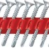PBH SD Z M1 Self-drilling Drywall Screws -Home-Tools 9533653975070